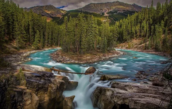 FOREST, WATER, MOUNTAINS, GREENS, NEEDLES, FOR, RIVER, TREES