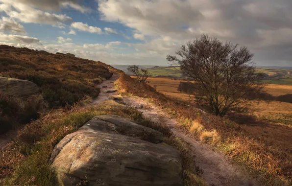 Field, autumn, the sky, grass, clouds, nature, stones, tree