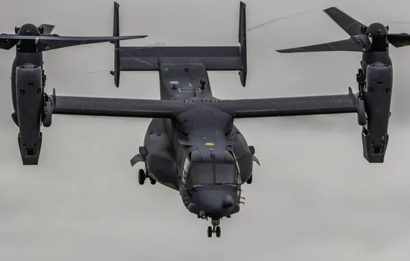 The tiltrotor, Osprey, MV-22
