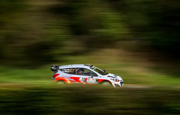 Grass, Forest, Profile, Hyundai, Rally, i20, Neuville