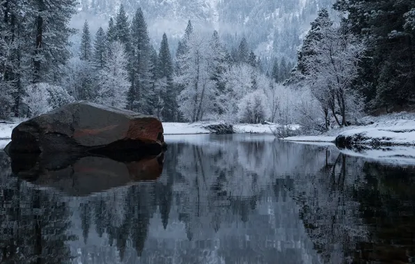 Picture winter, forest, lake, stone, CA, USA, Yosemite, national Park