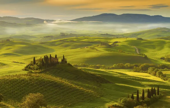 Picture field, home, Italy, trees, Tuscany