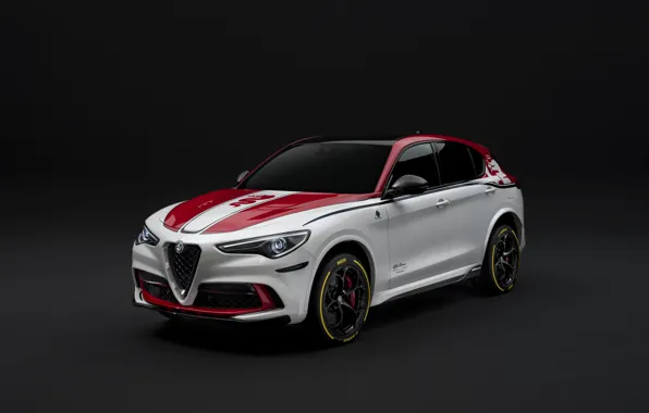 Tuning, Alfa Romeo, Racing, 2019-20, Stelvio Four-Leaf Clover