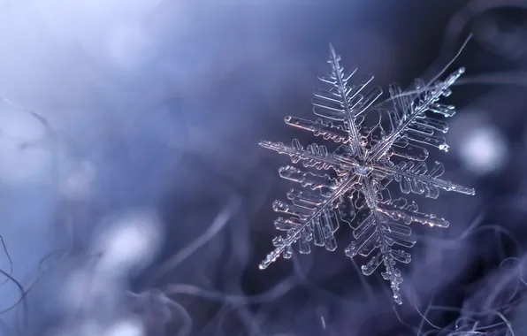 Snow, snowflake, asterisk
