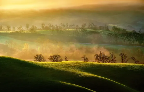 Field, light, morning, pair, Italy, Asciano, Tuscany