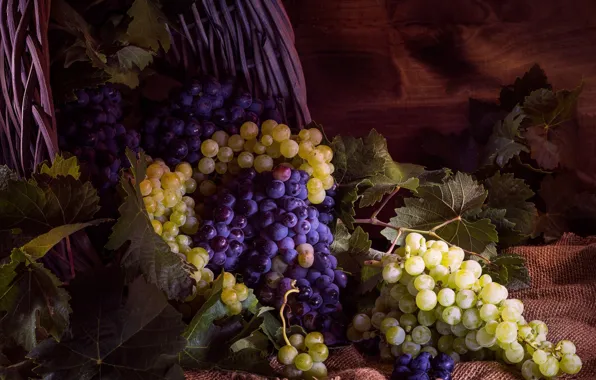 Basket, grapes, bunch
