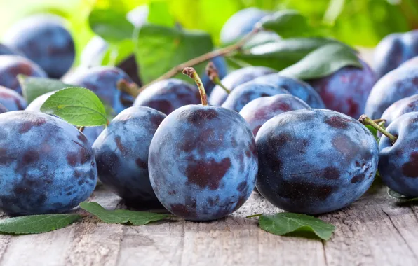 Picture fruit, plum, prunes, plum
