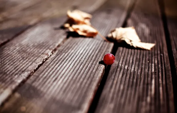 Picture BACKGROUND, RED, LEAVES, WALLPAPER, FLOOR, PHOTO, MACRO, BOARD