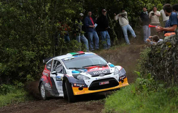 Trees, ford, the audience, fiesta, erc, super 2000, rrc, bernardo sousa