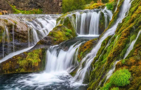 Picture waterfall, moss, cascade, Iceland, Iceland, Gjáinfoss