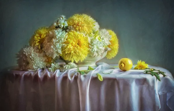 Flowers, lemon, picture, chrysanthemum