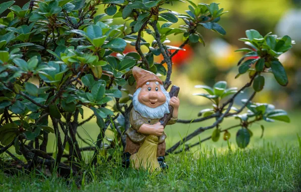 Grass, garden, dwarf, shrub, figure