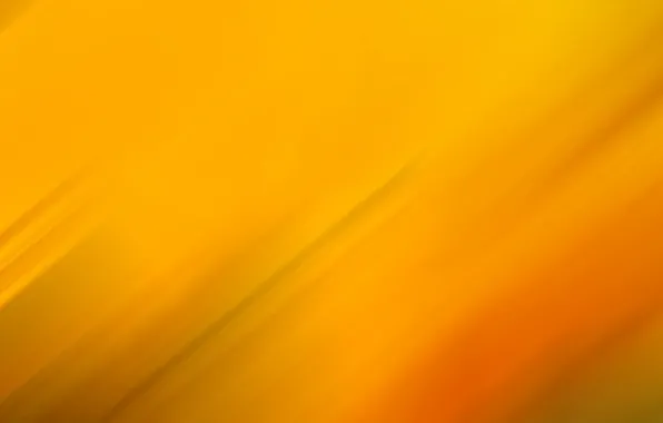 Light, line, color, touch