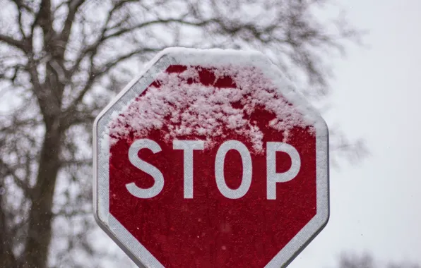 Winter, snow, sign, stop