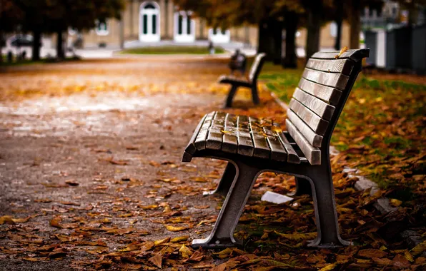 Autumn, leaves, bench, overcast, shop