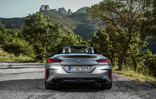 Picture grey, vegetation, BMW, Roadster, roadside, feed, BMW Z4, M40i