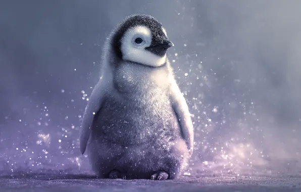Bird, penguin, grey background, chick, penguin, bokeh, AI art, neural network