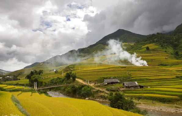 Fields, Mu Cang Chai, Viet Nam