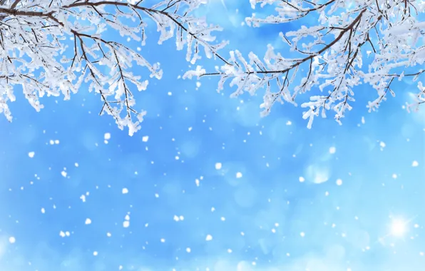 Winter, the sky, snow, snowflakes, branches, glare, blue