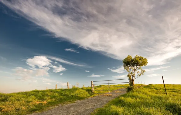 Clouds, the fence, 149, gate