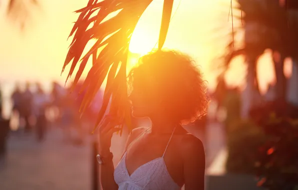 Picture leaves, girl, sunset, branch, profile, curls