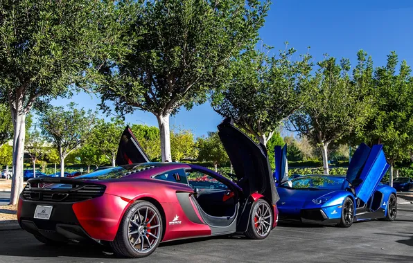 Picture the sky, trees, blue, red, street, red, lamborghini, blue