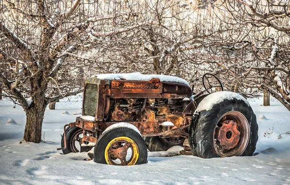 Trees, snow, tractor, rust