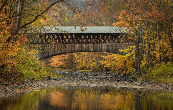 Autumn, trees, bridge, river, Blenheim, State of New York