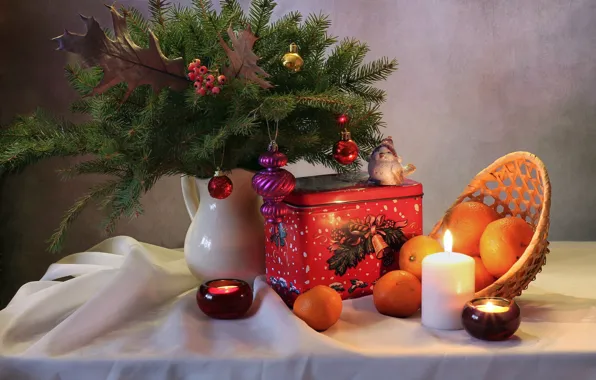 Winter, decoration, holiday, tree, new year, Christmas, bird, still life