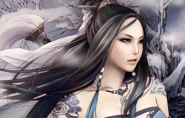 Picture winter, girl, fantasy, the wind, warrior