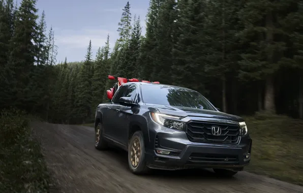 Picture road, forest, trees, Honda, pickup, 2020, Ridgeline, 2021