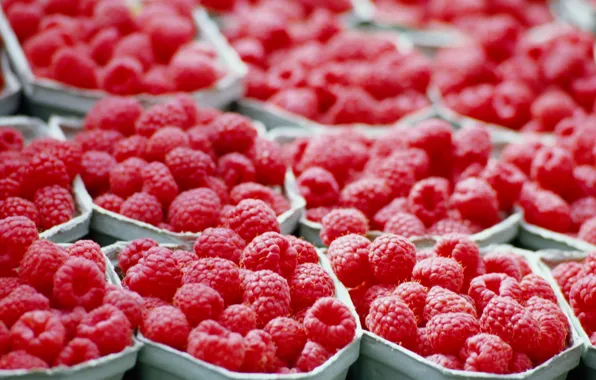 Picture red, raspberry, tray