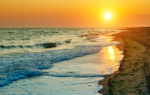 Sea, beach, sunset, beach, sea, sunset, seascape, beautiful