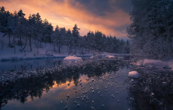 Winter, forest, river, Norway, Ringerike, Ole Henrik Skjelstad