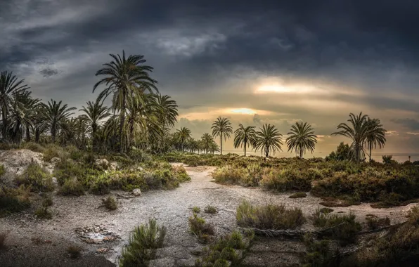 Roquetas de Mar, Turaniana, Ribera de La Algaida