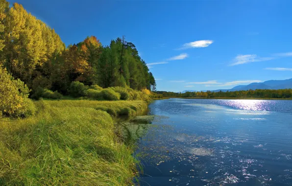 Picture autumn, forest, the sky, grass, the sun, trees, mountains, river