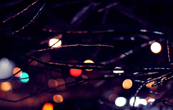 Picture ice, branches, lights, bokeh