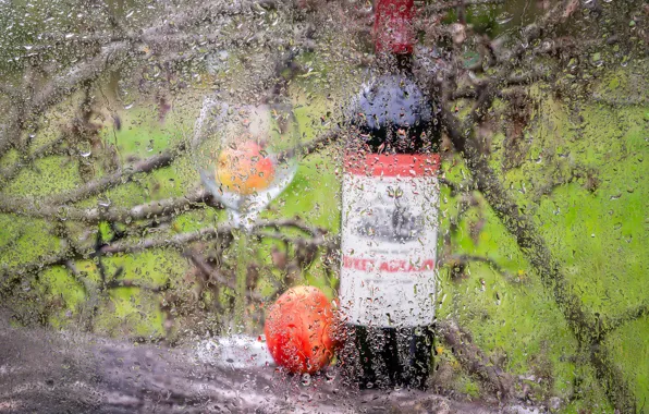 Picture glass, drops, branches, nature, rain, wine, apples, glass
