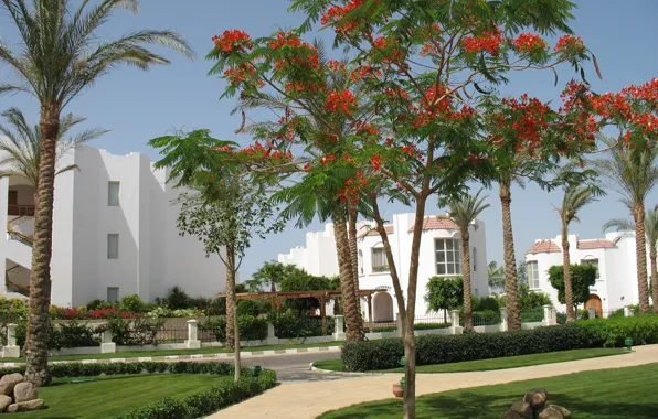 Stay, Egypt, the hotel