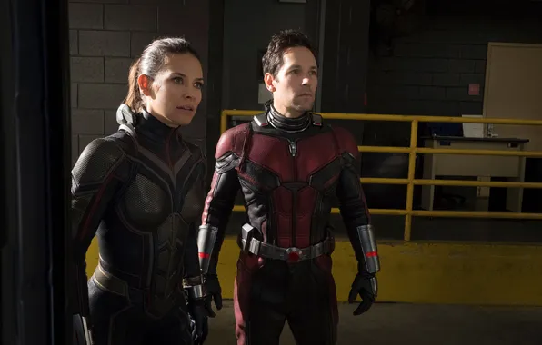 Frame, pair, Evangeline Lilly, comic, costumes, Evangeline Lilly, MARVEL, Wasp