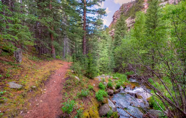 Picture the sky, trees, mountains, river, stones, rocks, path
