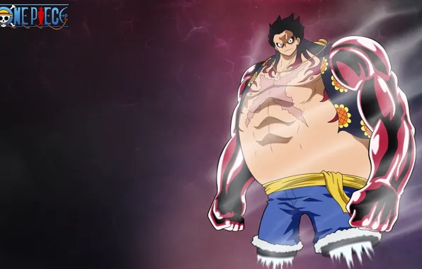 Game, One Piece, pirate, steam, anime, boy, captain, warrior