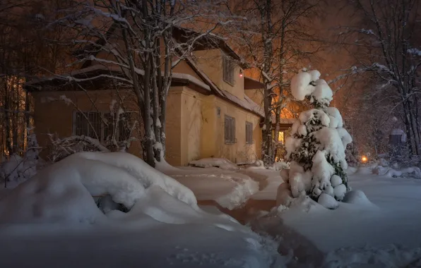 Picture winter, snow, trees, landscape, house, the evening, lighting, the snow