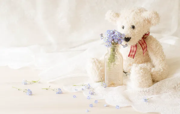 Picture flowers, toy, bottle, bear, a bunch, forget-me-nots, tulle, Teddy bear