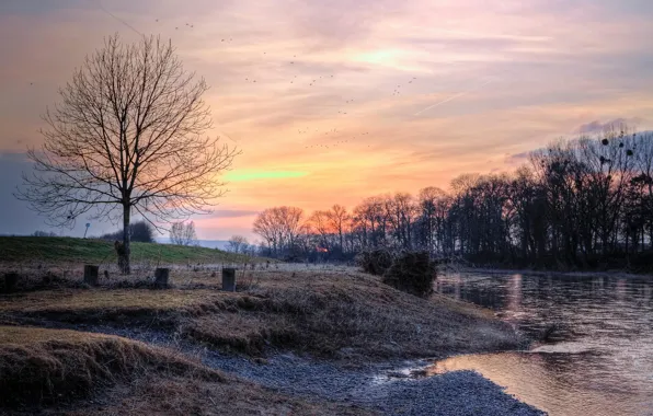 Frost, trees, sunset, birds, river