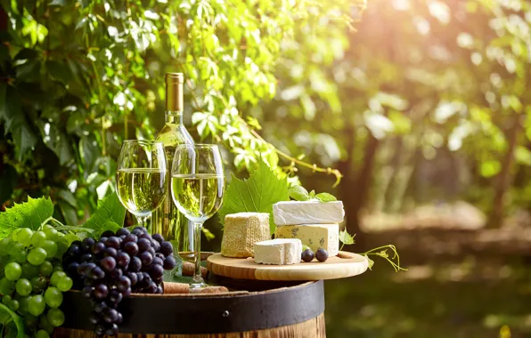 Greens, wine, bottle, cheese, garden, glasses, grapes, tube