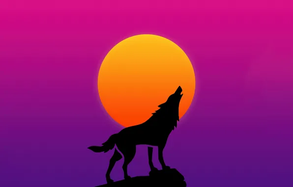 Picture animal, predator, wolf, silhouette, predator, the moon, moon, silhouette