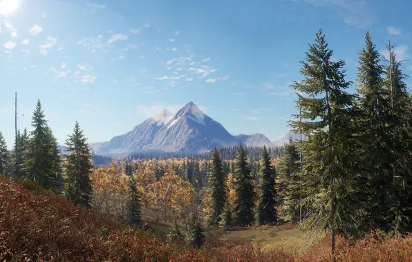 The sky, Nature, Mountains, The game, Autumn, Trees, Forest, Spruce