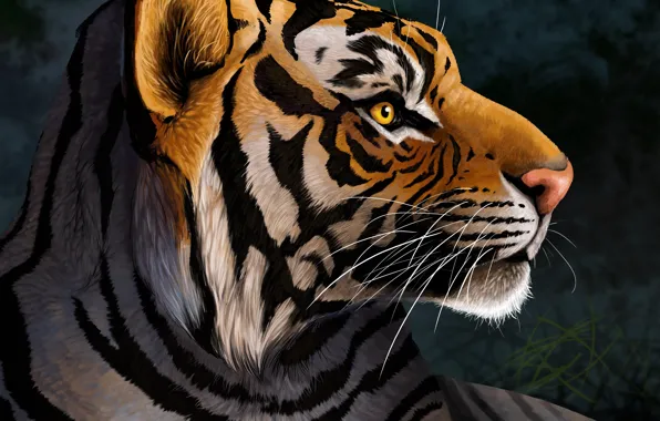 Picture Tiger, Predator, Art, Black background, Wild cat, Side, Big cat
