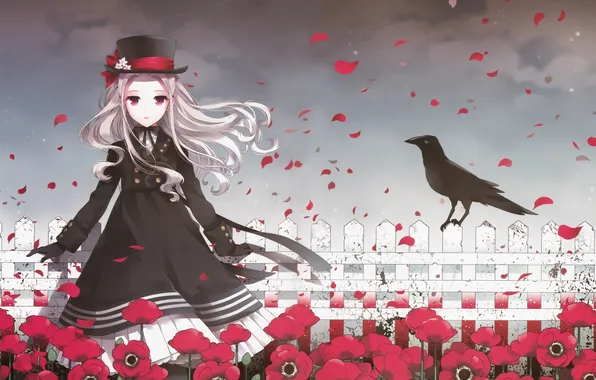 Picture flowers, the fence, Maki, hat, petals, girl, Raven